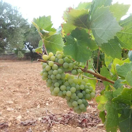 Kampos Paros Hébergement de vacances *