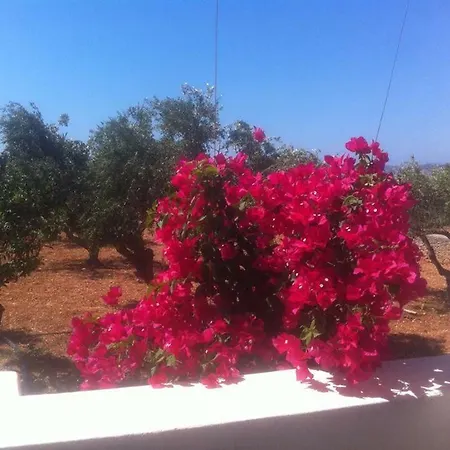 Kampos Paros Hébergement de vacances *