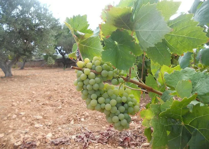 Kampos Paros Hébergement de vacances *