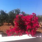 Kampos Paros Hébergement de vacances *