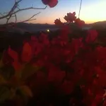 Kampos Paros Hébergement de vacances