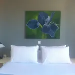 Hébergement de vacances Kampos Paros Pounda